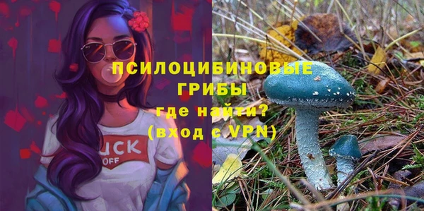 герыч Вязьма