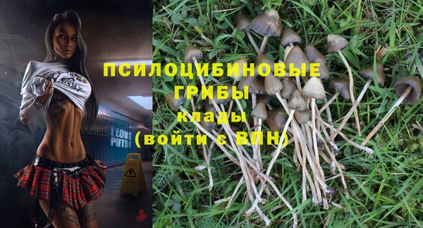 ALPHA PVP Вязники