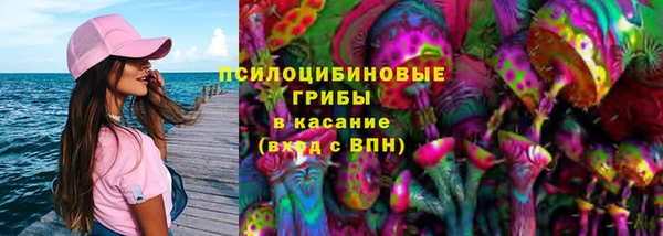 гашик Волоколамск